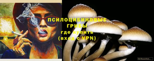 PSILOCYBIN Волоколамск