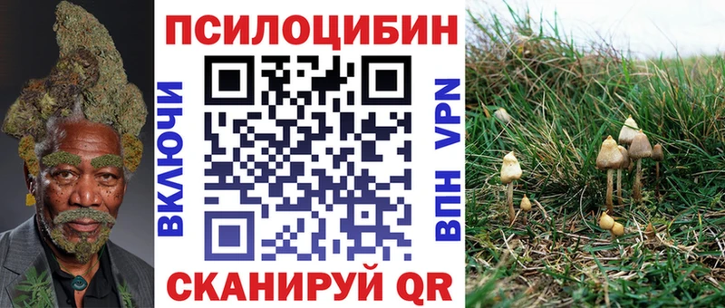 Купить  Михайловка  Галлюциногенные грибы мухоморы 